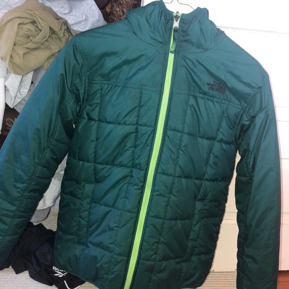 The north face jacket